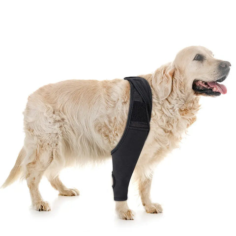 Pet Knee Pads For Joint Injury Recovery Legs Protector Dog Thigh Brace Wrap Adjustable Support Belt Post-operative Fixation null