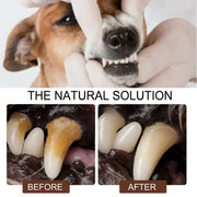 Pet Tooth Cleaning Spray null