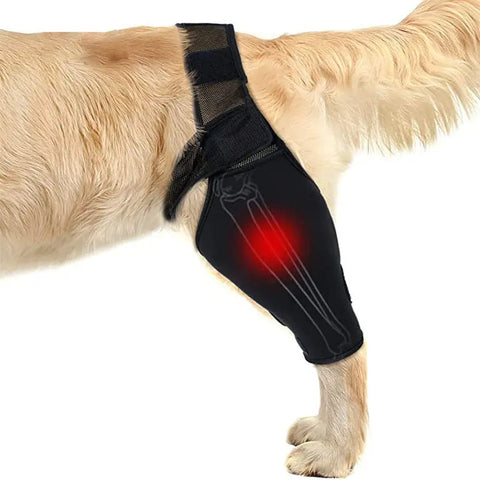 Dog Leg Injury Support Knee Pad null