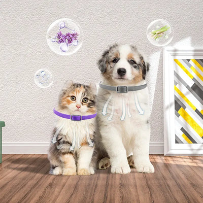 Dog Harness Anxiety Relief Buckle Pacify null