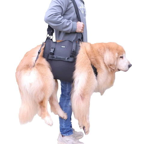 Outdoors Convenient Leg Support Rehabilitation Dog Breast Strap null