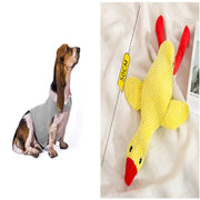 Anxiety Jacket Vest Summer Medical Treatment To Calm Down Cat Clothes Dog Comfort Clothes null