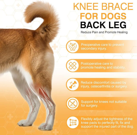 Leg Protector For Dogs Knee Brace Auxiliary Belt Joint Protection Pet Supplies Great Deal null