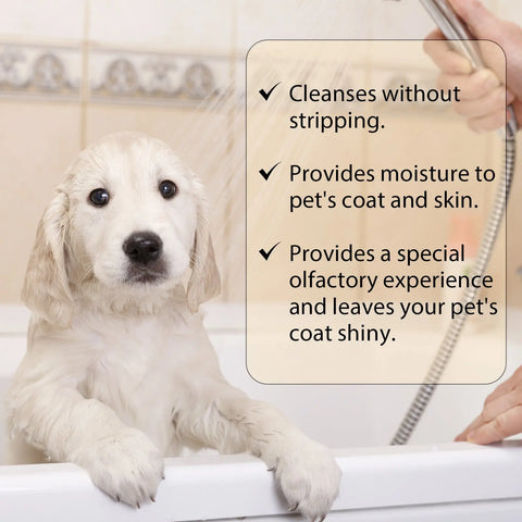 Pet Shampoo Mild And Clean Pet Cat And Dog Hair Soft And Unknotted Shampoo Shampoo null