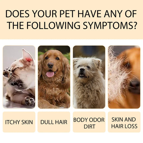 Pet Shampoo Mild And Clean Pet Cat And Dog Hair Soft And Unknotted Shampoo Shampoo null