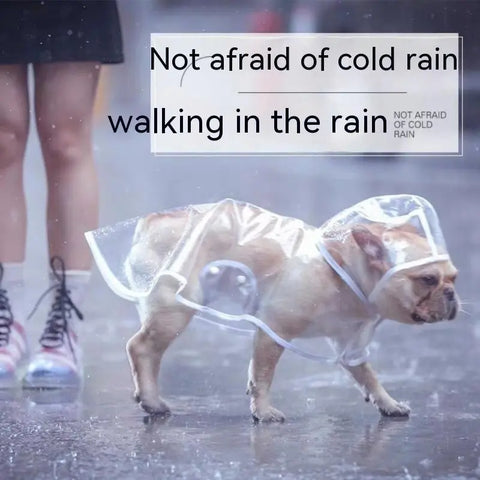 Pet Raincoat Dog Small Dog null