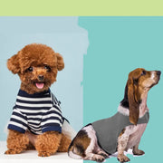 Anxiety Jacket Vest Summer Medical Treatment To Calm Down Cat Clothes Dog Comfort Clothes null