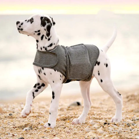 Pet Clothes Dog Anxiety Jacket Warm Vest null