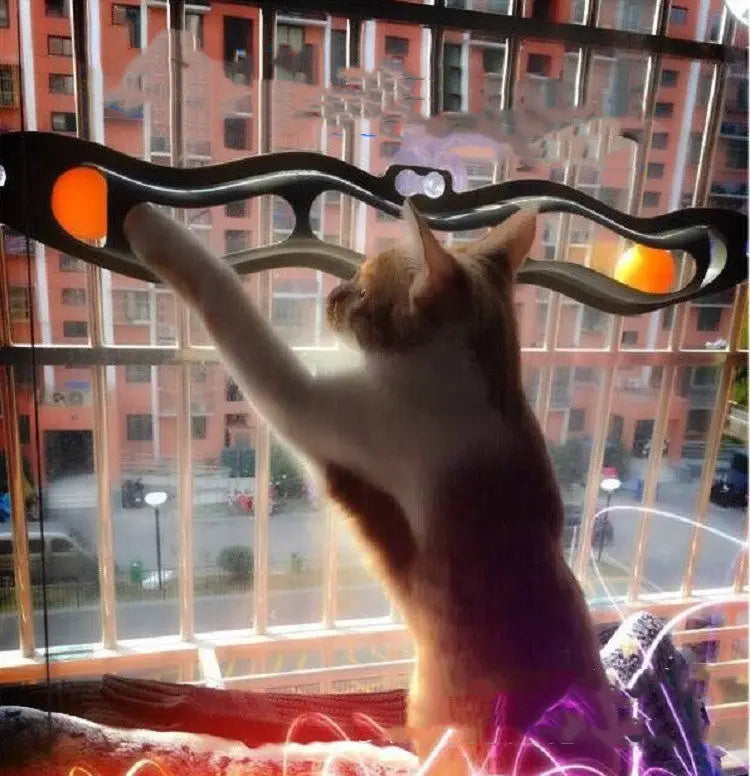 Windowsill Pets Toy Cat Track Ball Pet Products null