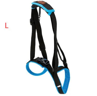 Pet Leg Strap Walking Support Dog Leg Support null
