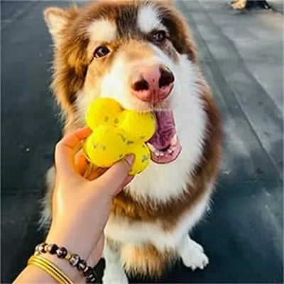 The Mellow Dog Calming Ball Mellow Dog Tennis Ball, Mellow Dog Emotional Support Ball null
