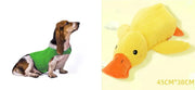 Anxiety Jacket Vest Summer Medical Treatment To Calm Down Cat Clothes Dog Comfort Clothes null