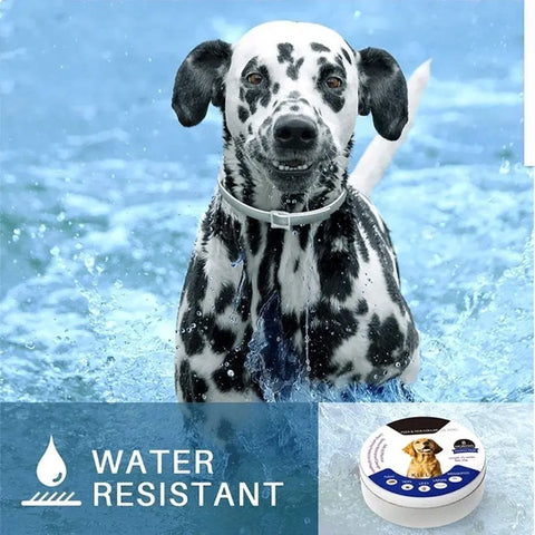 Waterproof Adjustable Insect Repellent Collar Flea Tick Removal null