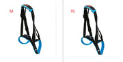 Pet Leg Strap Walking Support Dog Leg Support null