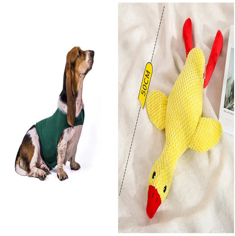 Anxiety Jacket Vest Summer Medical Treatment To Calm Down Cat Clothes Dog Comfort Clothes null