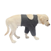 Pet Front Leg Sleeve Wrap Support Aids In Healing Comfortable Sleeve Leggings Against Licking Dog Leggings Elbow Brace null