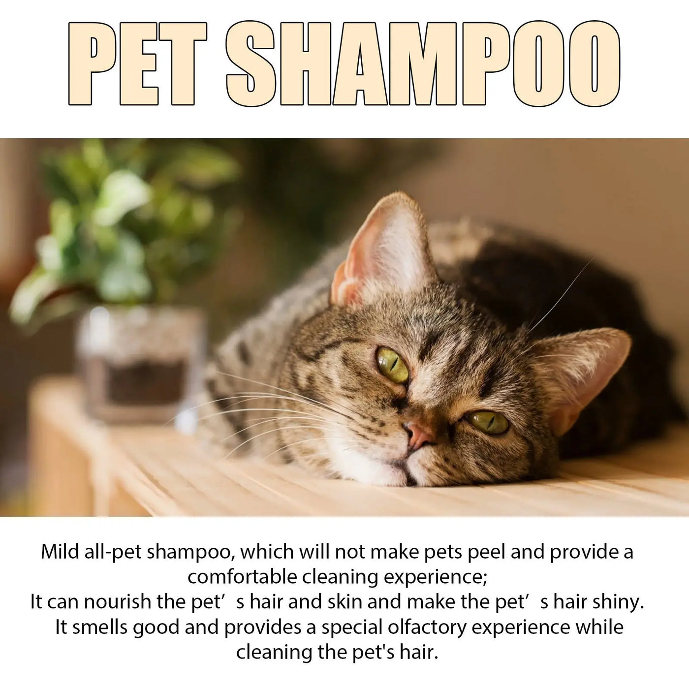 Pet Shampoo Mild And Clean Pet Cat And Dog Hair Soft And Unknotted Shampoo Shampoo null