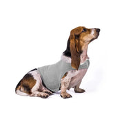 Anxiety Jacket Vest Summer Medical Treatment To Calm Down Cat Clothes Dog Comfort Clothes null