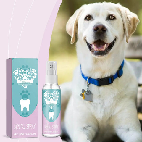 Pet Teeth Spray Care Clean Pet Mouth null