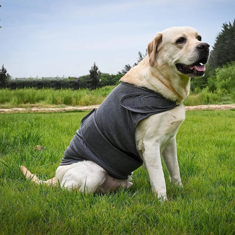 Classic Dog Anxiety Jacket Breathable Thunder Vest For Dogs Thunder Vest For Dogs Anxiety Shirt Dog Clothes For Anxiety Stress null