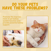 Pet Nutritional Supplements Enhance Energy Vitality null