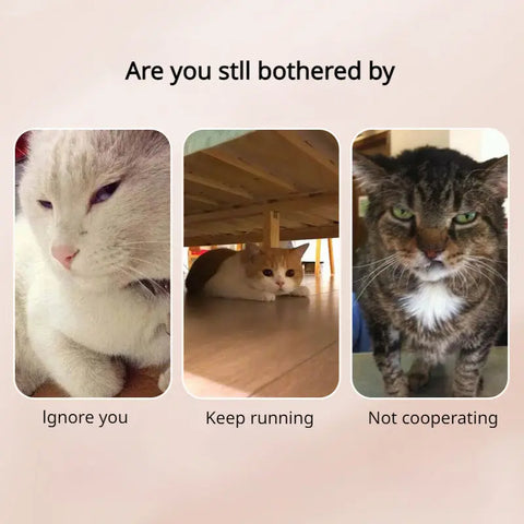 Pet Photo Artifacts Cats Dogs Look At The Lens Toy Cell Phone Camera Bracket Selfie Clip Supplies Puppy Pet Products Pet Toys null