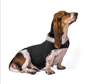 Anxiety Jacket Vest Summer Medical Treatment To Calm Down Cat Clothes Dog Comfort Clothes null