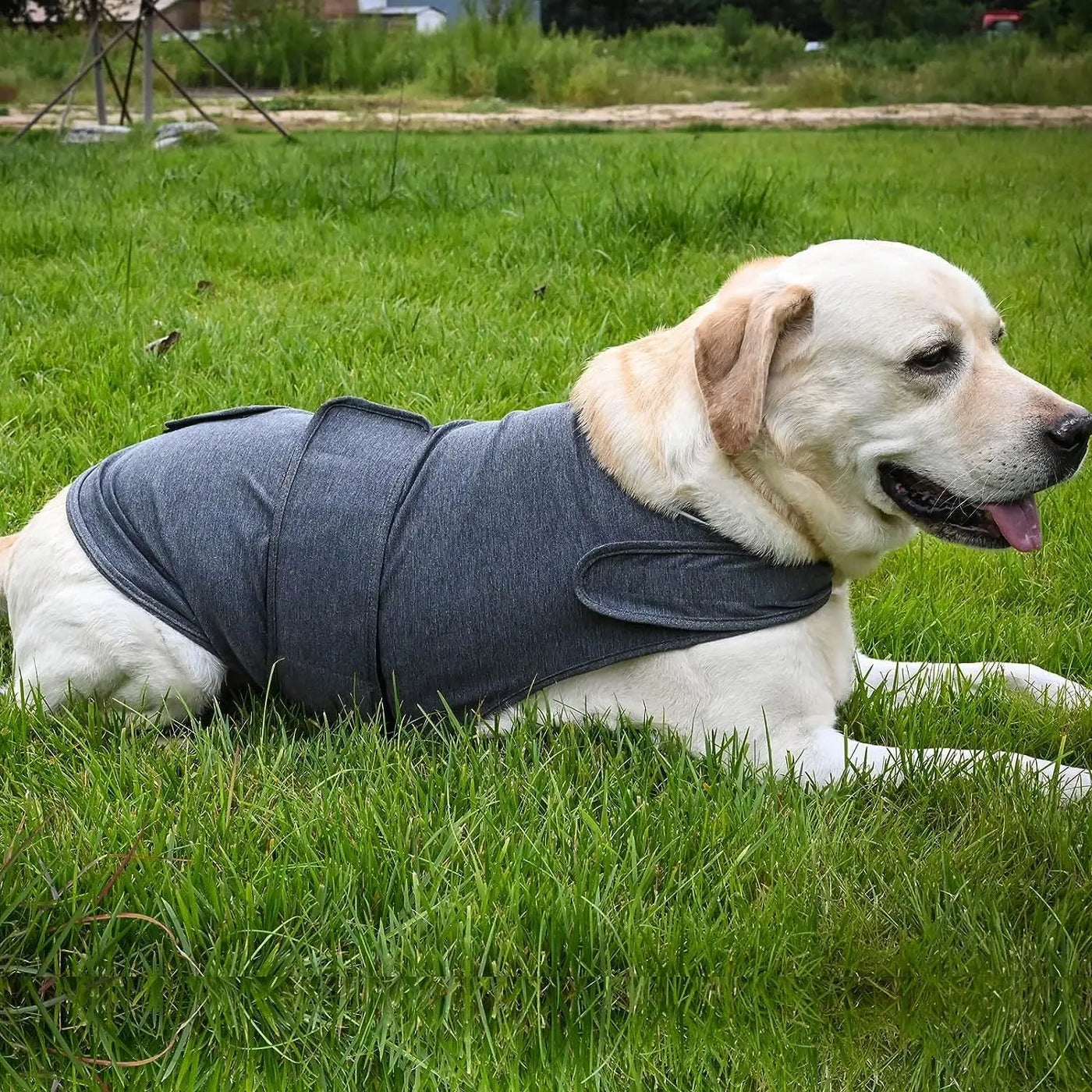 Classic Dog Anxiety Jacket Breathable Thunder Vest For Dogs Thunder Vest For Dogs Anxiety Shirt Dog Clothes For Anxiety Stress null
