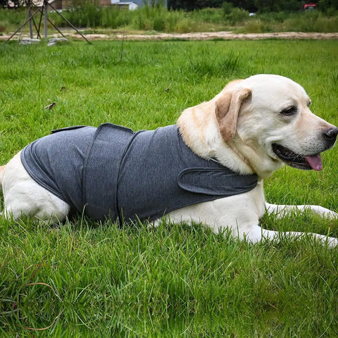 Classic Dog Anxiety Jacket Breathable Thunder Vest For Dogs Thunder Vest For Dogs Anxiety Shirt Dog Clothes For Anxiety Stress null
