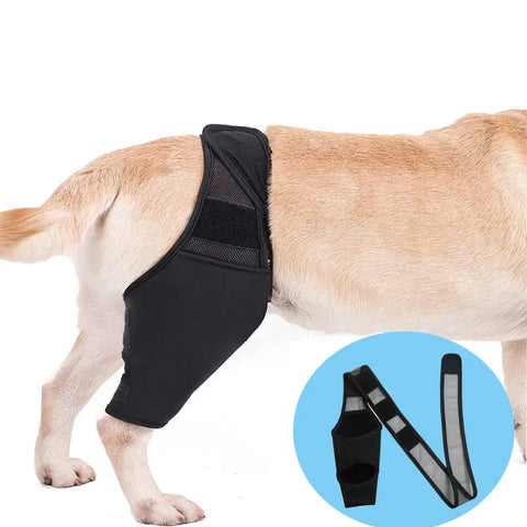 Pet Knee Pads For Joint Injury Recovery Legs Protector Dog Thigh Brace Wrap Adjustable Support Belt Post-operative Fixation null